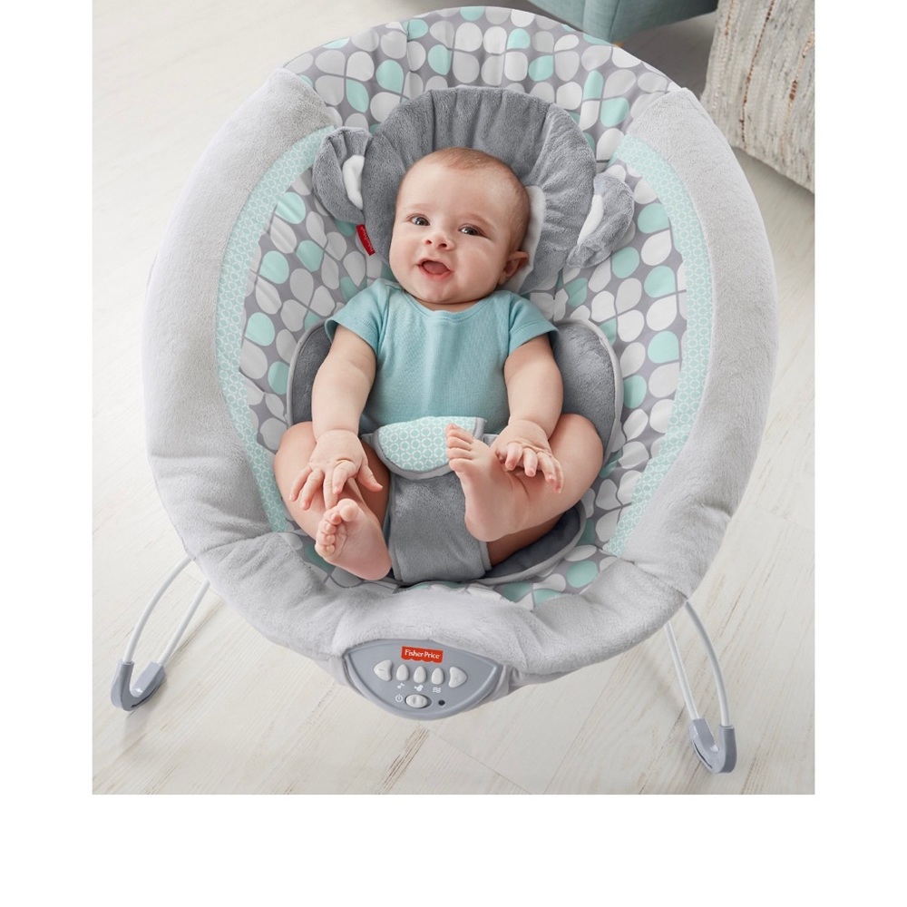 Fisher-Price Sweet Surroundings Monkey Deluxe Baby Bouncer